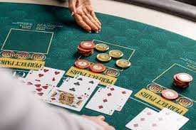 Live blackjack with real dealer Live blackjack table on lgogoal slot